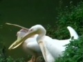 r(chng)Yʧ ɚqͯ^ɵ
